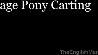 TheEnglishMansion - Vintage Pony Carting