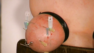 Breasts In Pain	Archives - Slave Cat - Her hardest Tit Torture Session