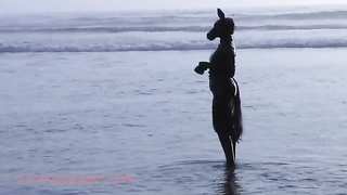 KINKY PONYGIRL - Beach Horse